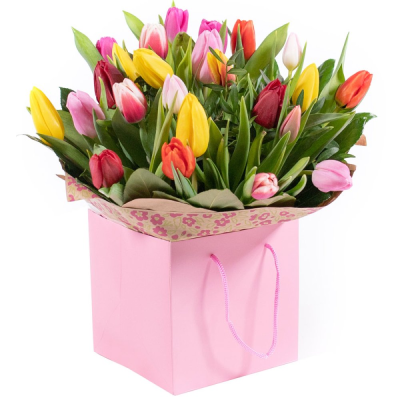 Tulip Temptations - A small posy handtied of mixed tulips with optional foliage wrapped and delivered in water as you choose .